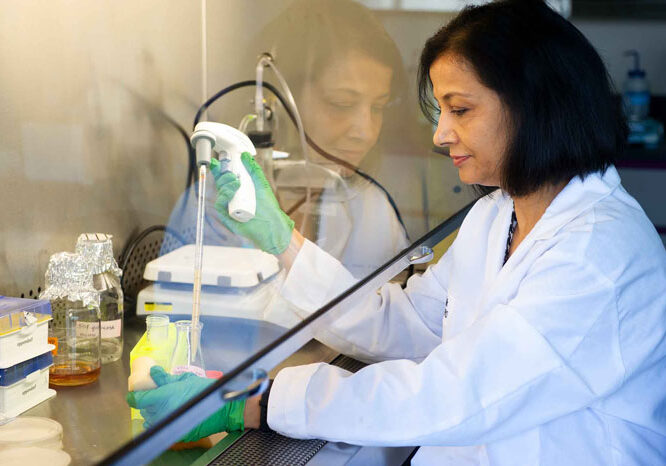 Female scientist works in the lab.